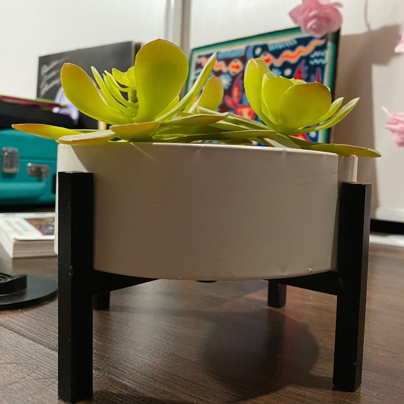 Faux Succulent in White Pot in Metal Pot 5-1/4 inch wide - Picture 2 of 5